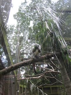 Shaldon Zoo