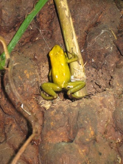 Shaldon Zoo