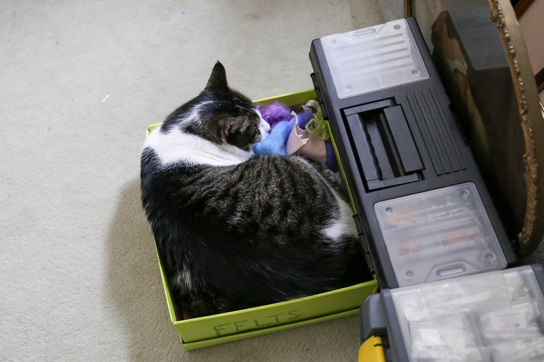 Jesse-in-a-box
