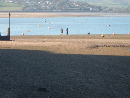 Estuary