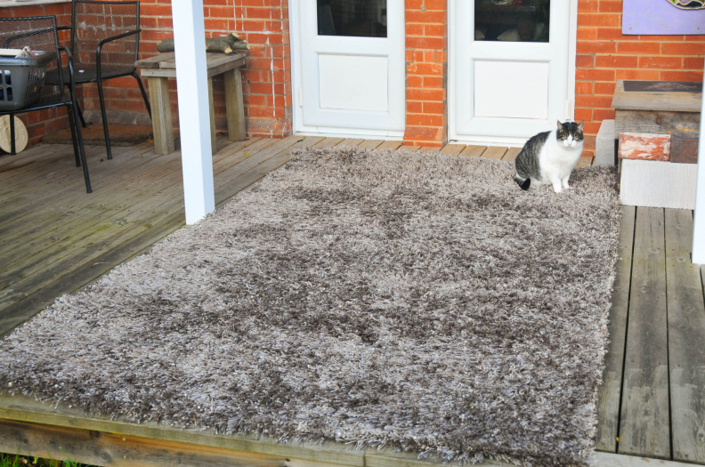 Jesse helping to sell the shag rug