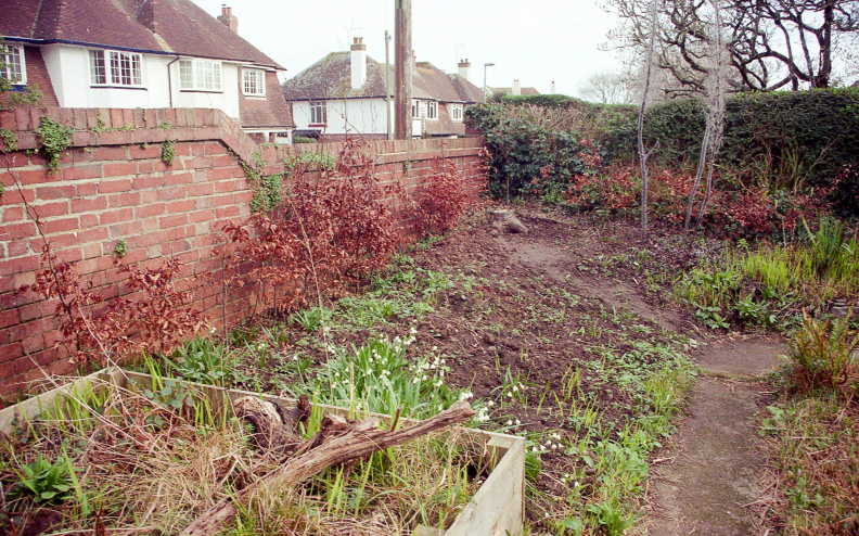 House and garden