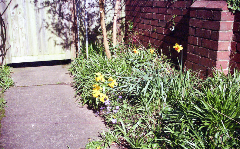 House and garden