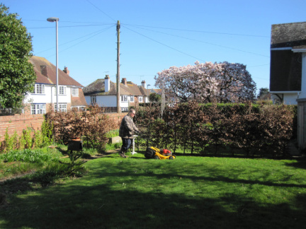 David mowing the lawn