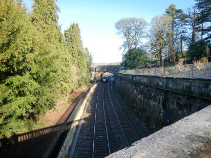 Sydney Gardens