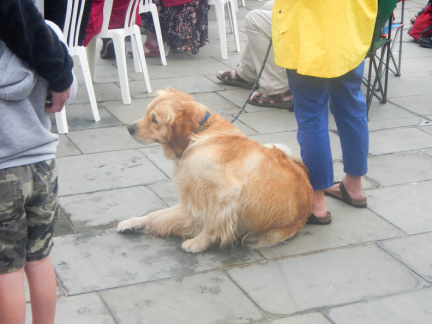 Exmouth Festival
