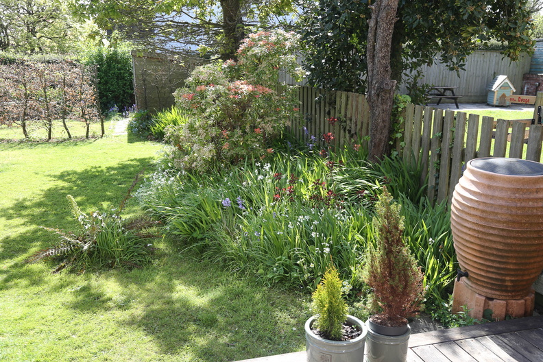 Spring in the garden