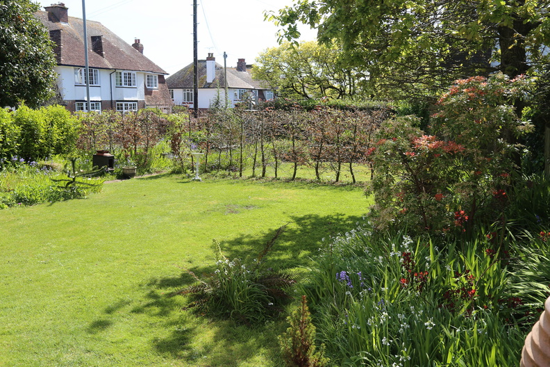 Spring in the garden