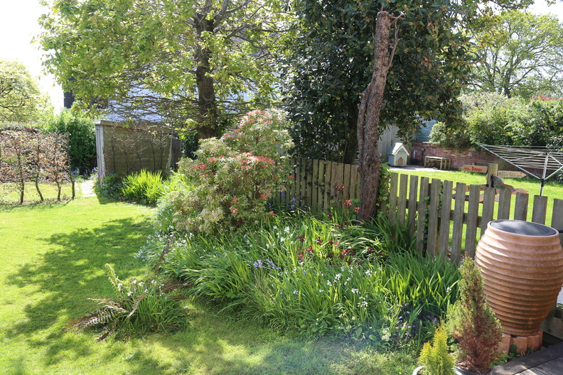 Spring in the garden