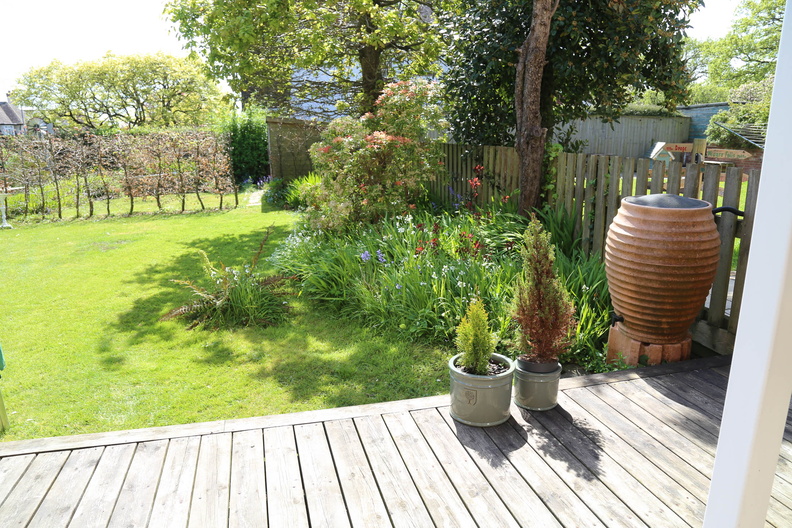 Spring in the garden