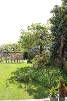 Spring in the garden