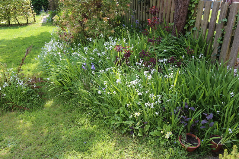 Spring in the garden