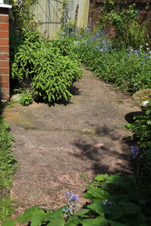 Spring in the garden
