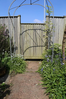 Spring in the garden