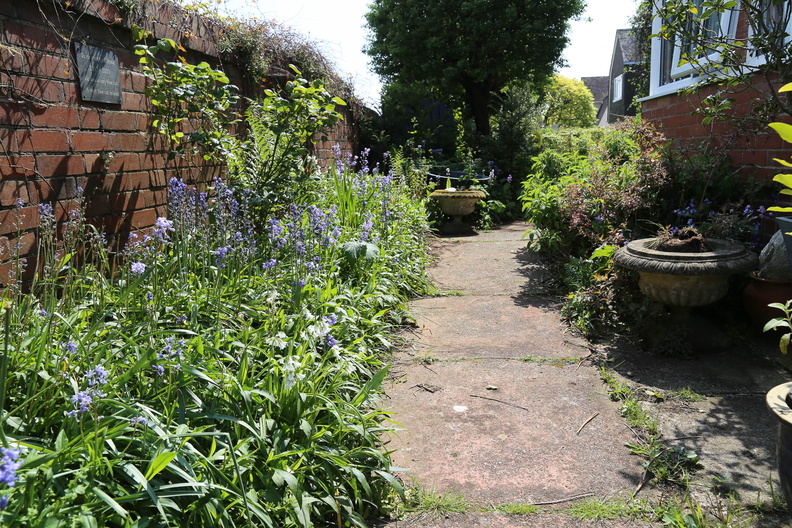 Spring in the garden