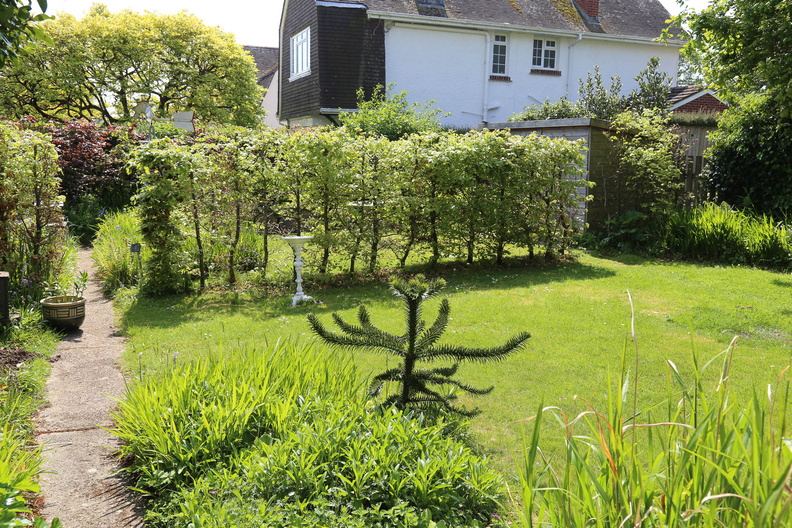 Spring in the garden