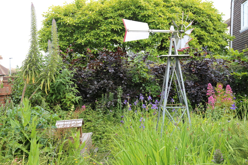 Garden in early June
