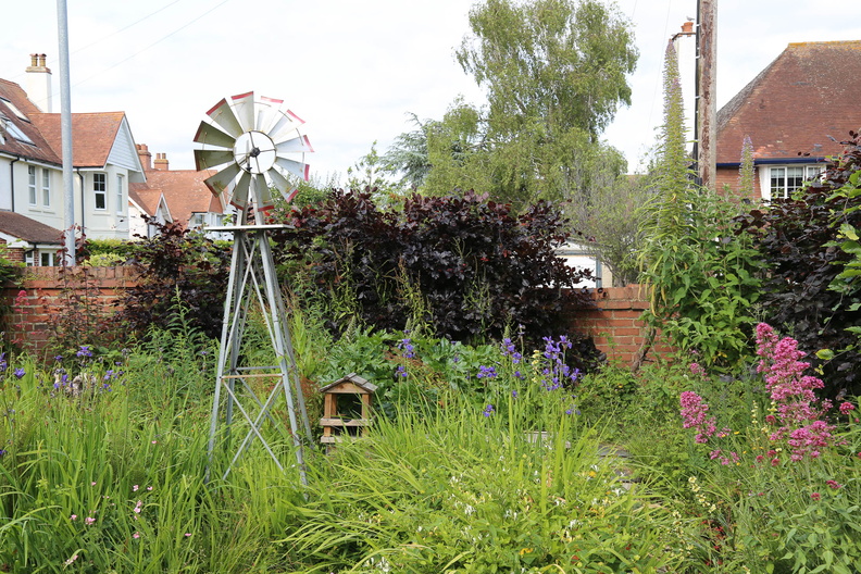 Garden in early June