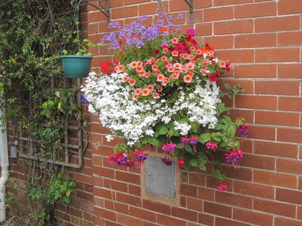 Garden in early June