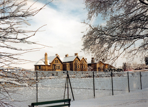 snow4